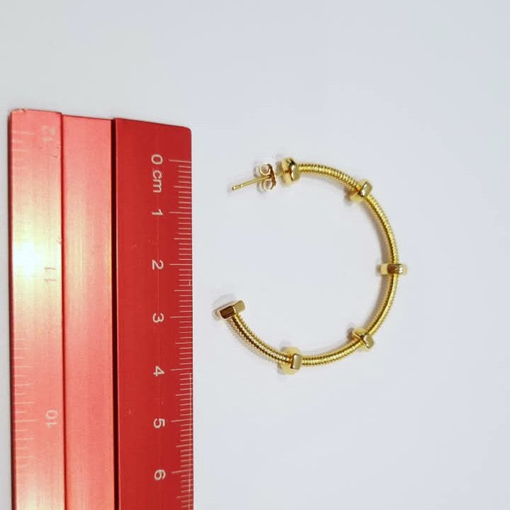 Ecrou de Cartier Earrings